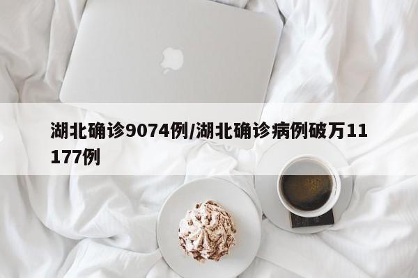 湖北确诊9074例/湖北确诊病例破万11177例