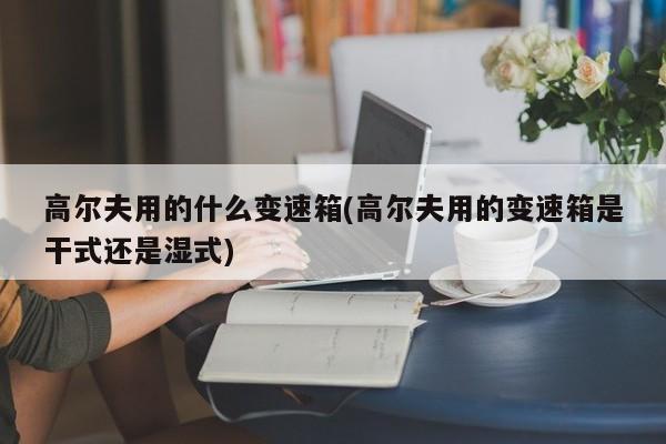高尔夫用的什么变速箱(高尔夫用的变速箱是干式还是湿式)