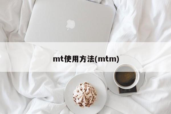 mt使用方法(mtm)