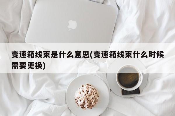 变速箱线束是什么意思(变速箱线束什么时候需要更换)