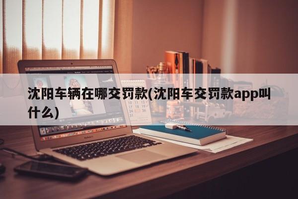 沈阳车辆在哪交罚款(沈阳车交罚款app叫什么)