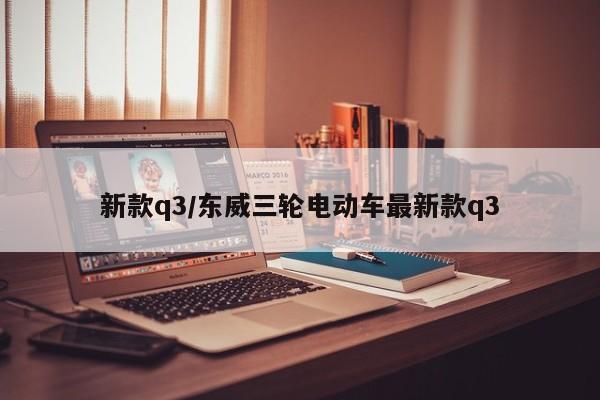新款q3/东威三轮电动车最新款q3