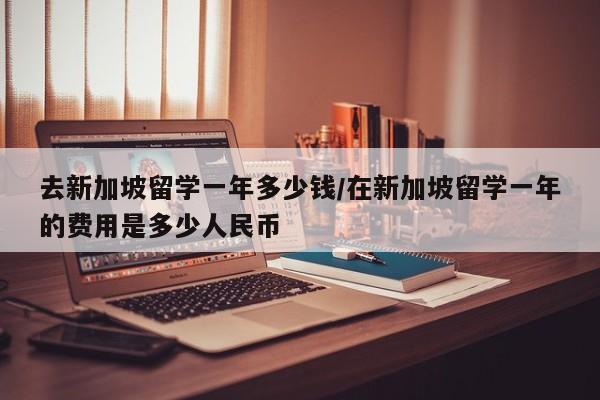 去新加坡留学一年多少钱/在新加坡留学一年的费用是多少人民币
