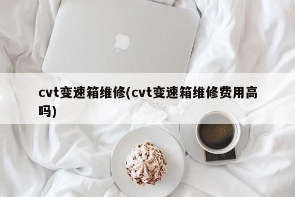 cvt变速箱维修(cvt变速箱维修费用高吗)