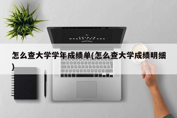 怎么查大学学年成绩单(怎么查大学成绩明细)
